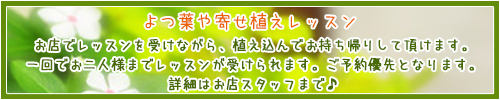 ワンナワーレッスンお知らせ.jpg