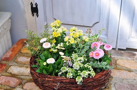 DSC_1215.jpg