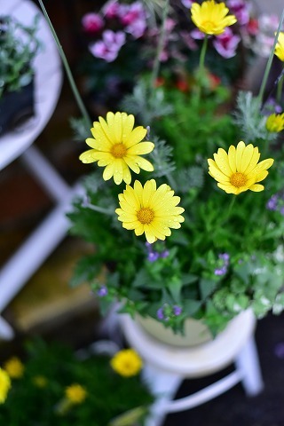 DSC_7690.jpg