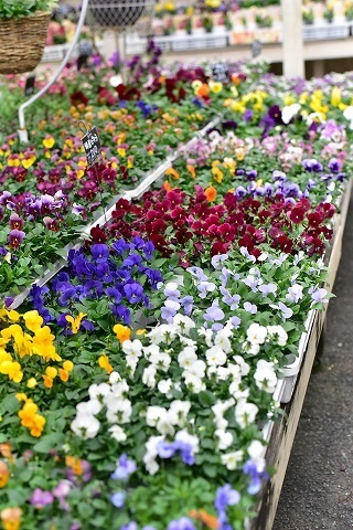 DSC_8709.jpg